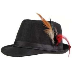Business Define fedora hat